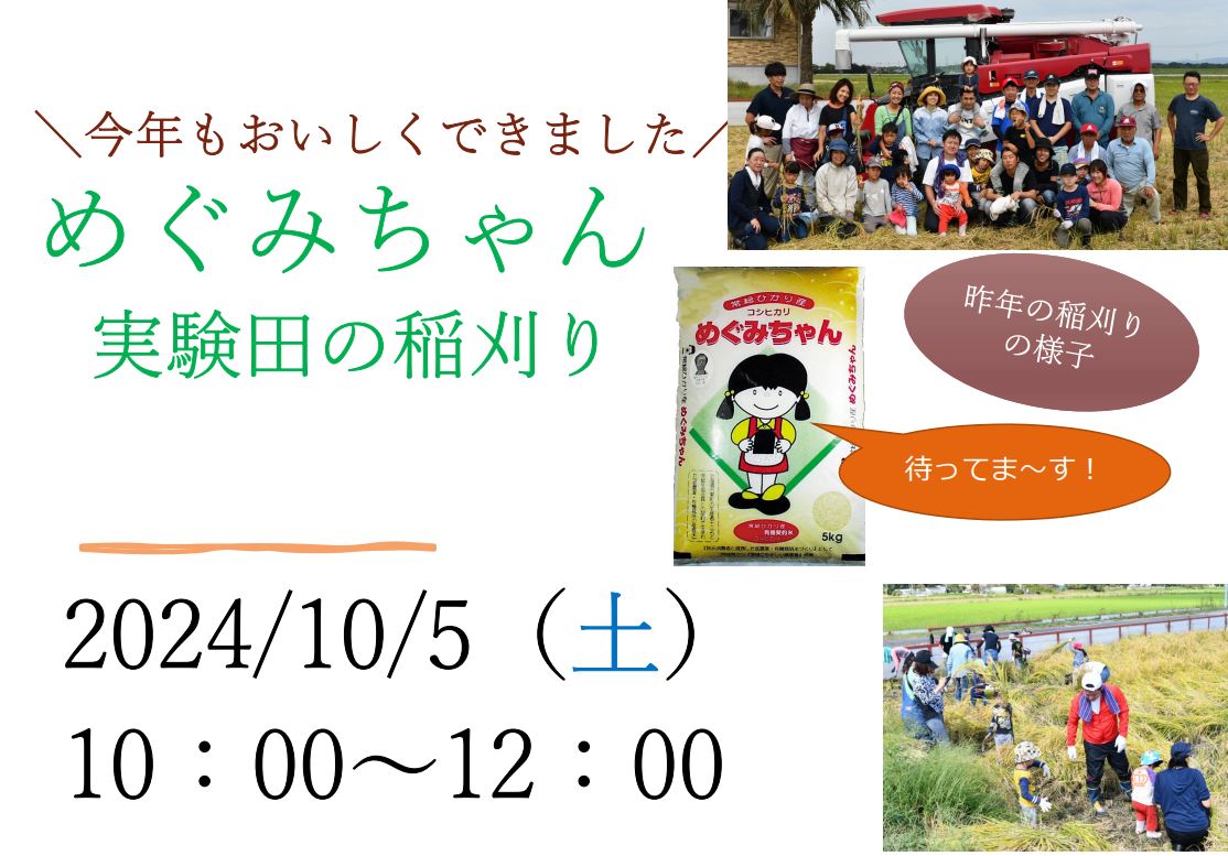 生協のお米「めぐみちゃん」生協実験田の「稲刈り」のご案内です　2024年10月5日（土） 10時00分～12時00頃まで